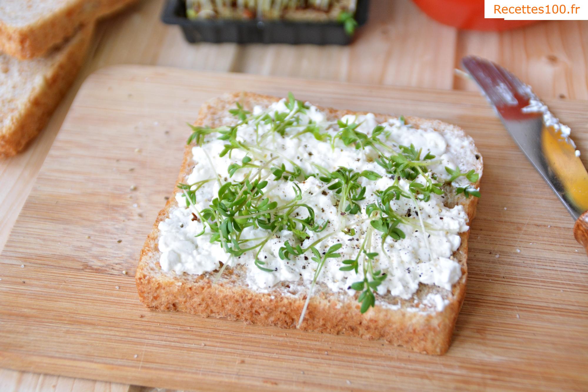 Fromage blanc tartinable avec paprika et tomate