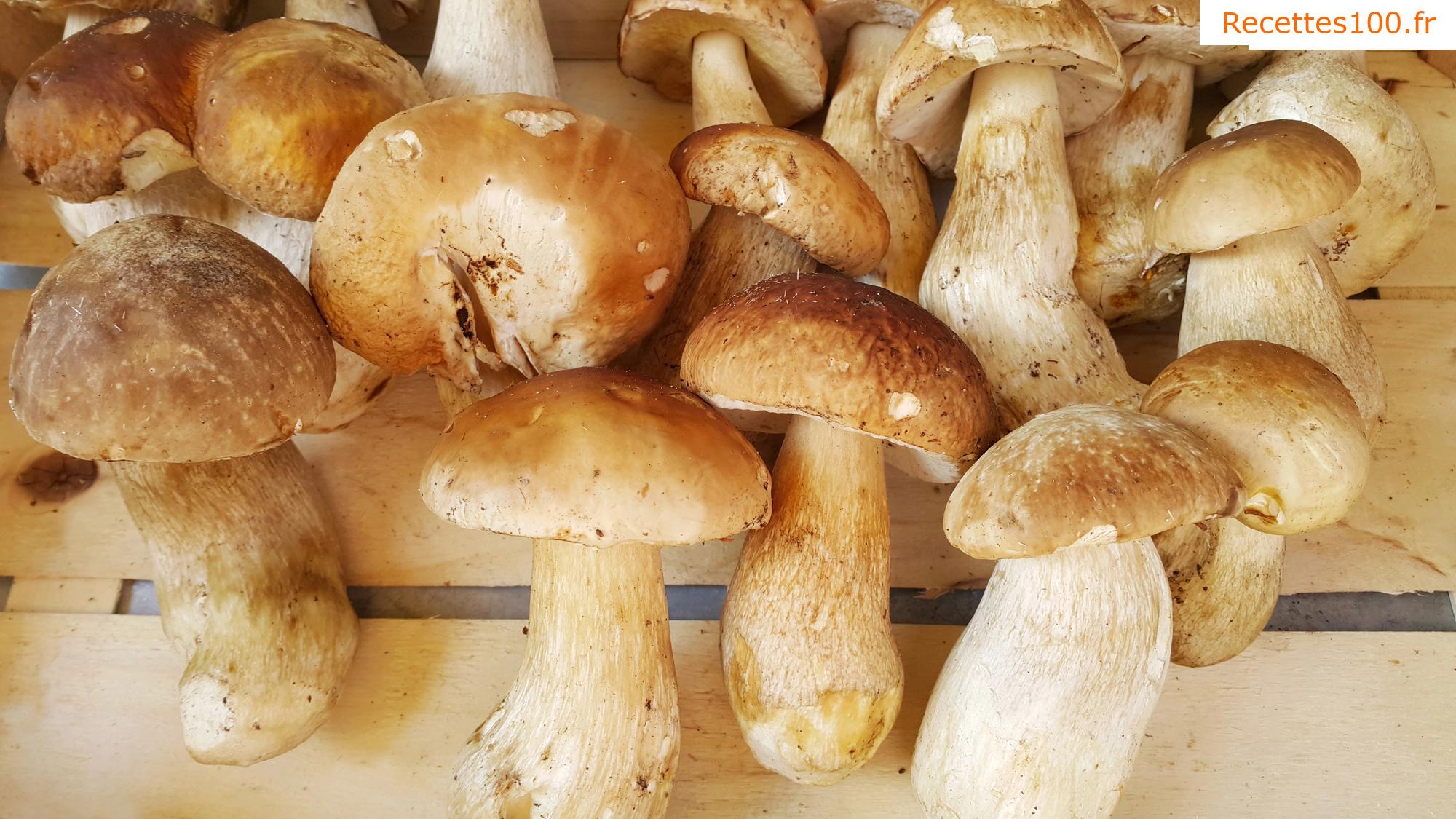 Mélange de champignons pour toasts